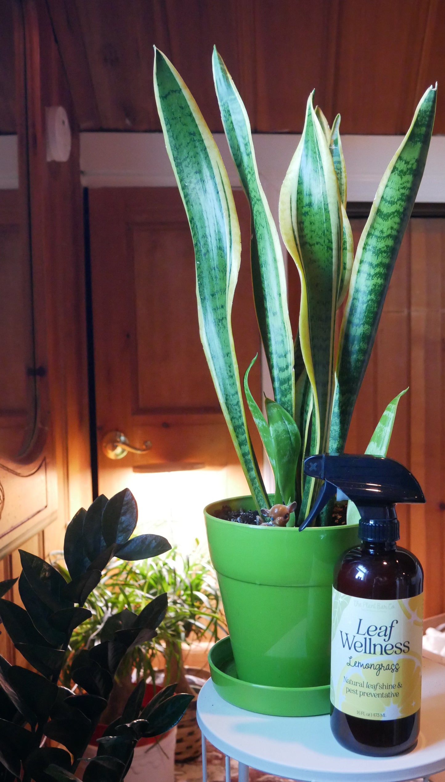 Leaf Shine & Wellness Spray